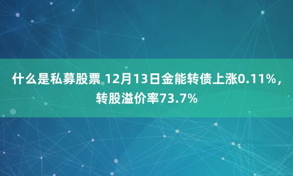 什么是私募股票 12月13日金能转债上涨0.11%，转股溢价率73.7%