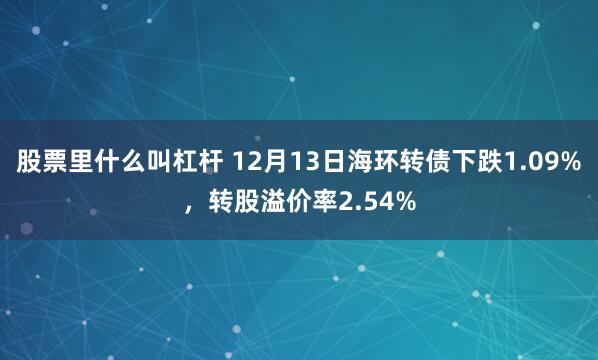 股票里什么叫杠杆 12月13日海环转债下跌1.09%，转股溢价率2.54%