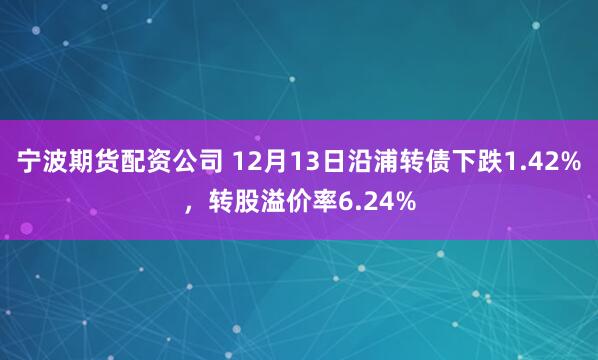 宁波期货配资公司 12月13日沿浦转债下跌1.42%，转股溢价率6.24%