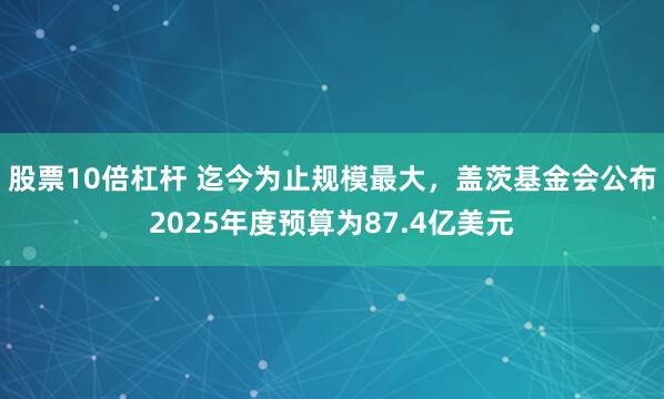 股票10倍杠杆 迄今为止规模最大，盖茨基金会公布2025年度预算为87.4亿美元