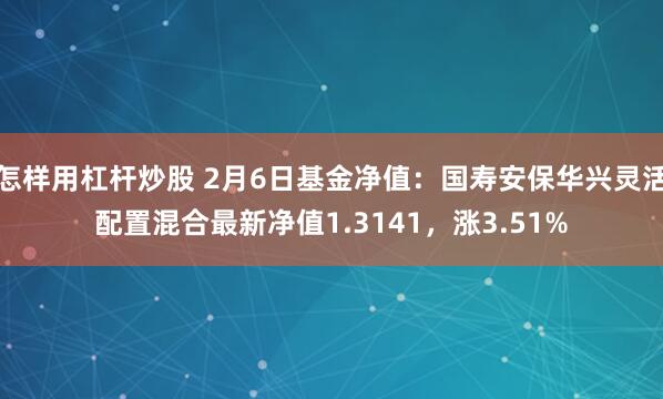 怎样用杠杆炒股 2月6日基金净值：国寿安保华兴灵活配置混合最新净值1.3141，涨3.51%