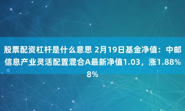 股票配资杠杆是什么意思 2月19日基金净值：中邮信息产业灵活配置混合A最新净值1.03，涨1.88%