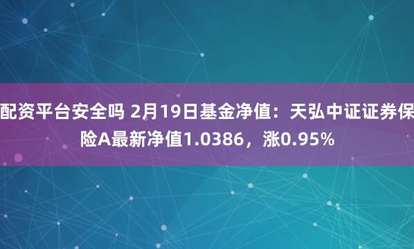 配资平台安全吗 2月19日基金净值：天弘中证证券保险A最新净值1.0386，涨0.95%