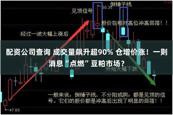 配资公司查询 成交量飙升超90% 仓增价涨！一则消息“点燃”豆粕市场？