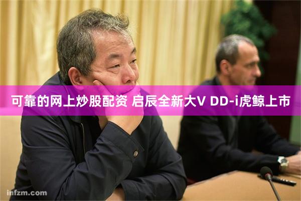 可靠的网上炒股配资 启辰全新大V DD-i虎鲸上市